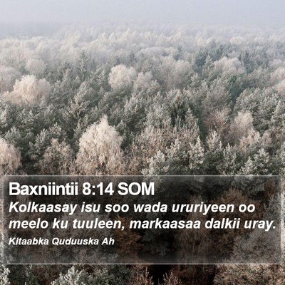Baxniintii 8:14 SOM Bible Verse Image