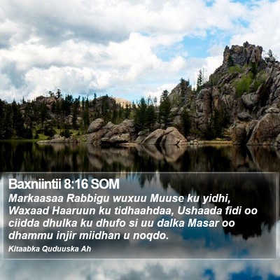 Baxniintii 8:16 SOM Bible Verse Image
