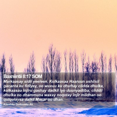 Baxniintii 8:17 SOM Bible Verse Image