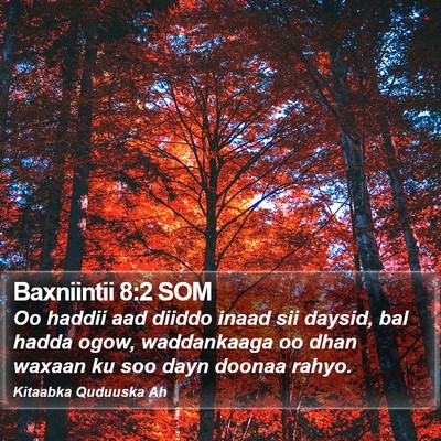 Baxniintii 8:2 SOM Bible Verse Image