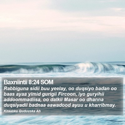 Baxniintii 8:24 SOM Bible Verse Image