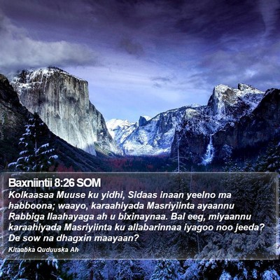 Baxniintii 8:26 SOM Bible Verse Image