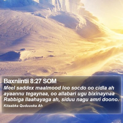Baxniintii 8:27 SOM Bible Verse Image