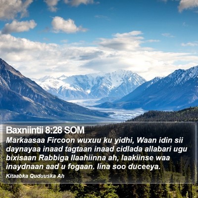 Baxniintii 8:28 SOM Bible Verse Image