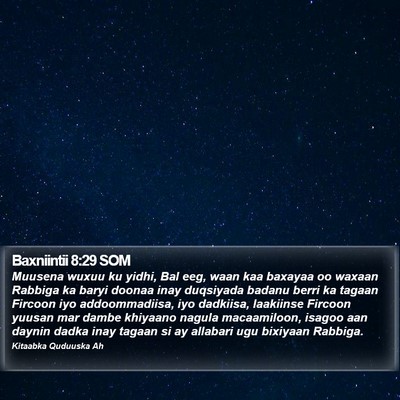 Baxniintii 8:29 SOM Bible Verse Image