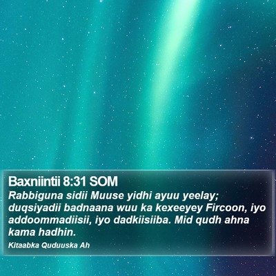 Baxniintii 8:31 SOM Bible Verse Image