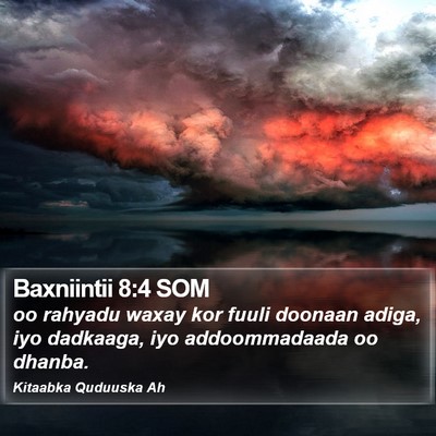 Baxniintii 8:4 SOM Bible Verse Image
