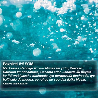 Baxniintii 8:5 SOM Bible Verse Image