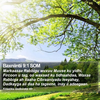 Baxniintii 9:1 SOM Bible Verse Image