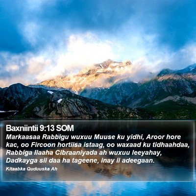 Baxniintii 9:13 SOM Bible Verse Image