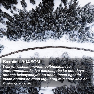 Baxniintii 9:14 SOM Bible Verse Image