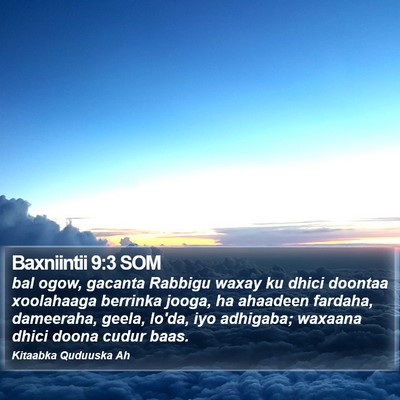 Baxniintii 9:3 SOM Bible Verse Image