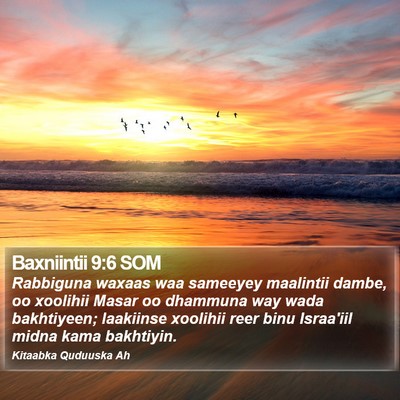 Baxniintii 9:6 SOM Bible Verse Image