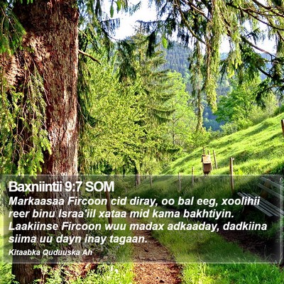 Baxniintii 9:7 SOM Bible Verse Image