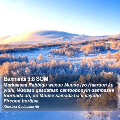 Baxniintii 9:8 SOM Bible Verse Image
