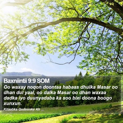 Baxniintii 9:9 SOM Bible Verse Image