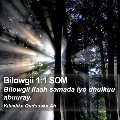 Bilowgii 1:1 SOM Bible Verse Image