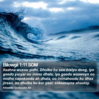 Bilowgii 1:11 SOM Bible Verse Image
