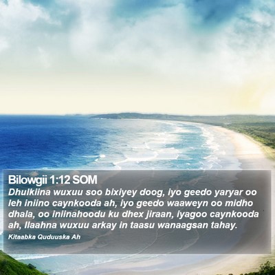 Bilowgii 1:12 SOM Bible Verse Image
