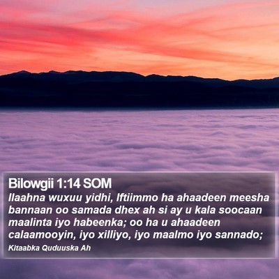 Bilowgii 1:14 SOM Bible Verse Image