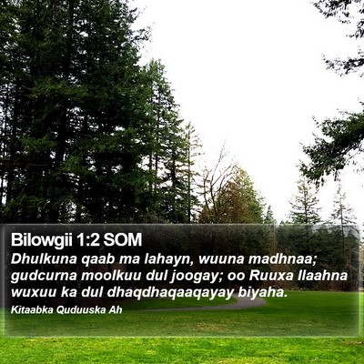Bilowgii 1:2 SOM Bible Verse Image