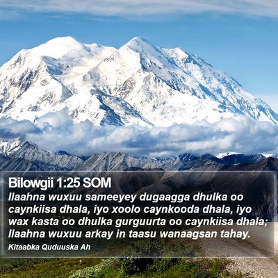 Bilowgii 1:25 SOM Bible Verse Image