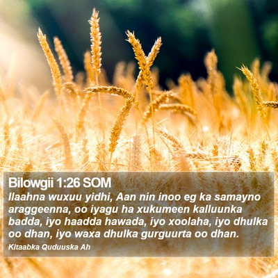 Bilowgii 1:26 SOM Bible Verse Image