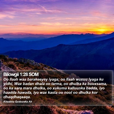 Bilowgii 1:28 SOM Bible Verse Image