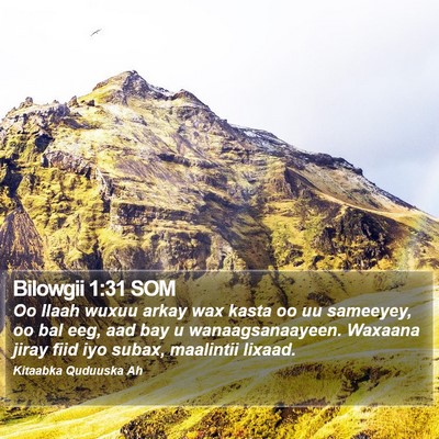 Bilowgii 1:31 SOM Bible Verse Image