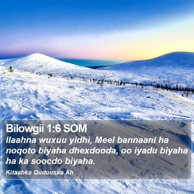 Bilowgii 1:6 SOM Bible Verse Image