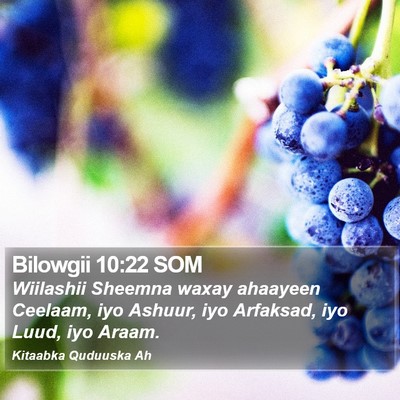 Bilowgii 10:22 SOM Bible Verse Image