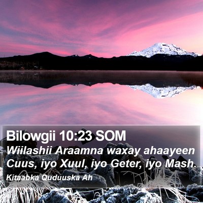 Bilowgii 10:23 SOM Bible Verse Image