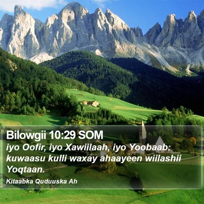 Bilowgii 10:29 SOM Bible Verse Image
