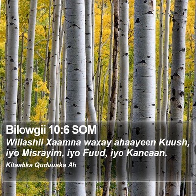 Bilowgii 10:6 SOM Bible Verse Image