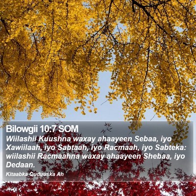 Bilowgii 10:7 SOM Bible Verse Image