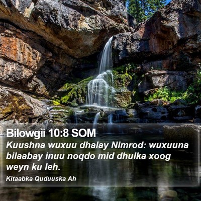 Bilowgii 10:8 SOM Bible Verse Image