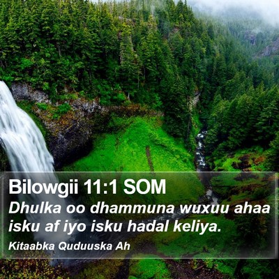 Bilowgii 11:1 SOM Bible Verse Image
