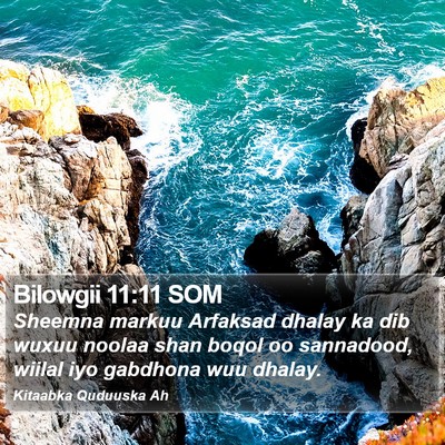 Bilowgii 11:11 SOM Bible Verse Image
