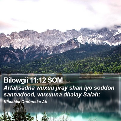 Bilowgii 11:12 SOM Bible Verse Image