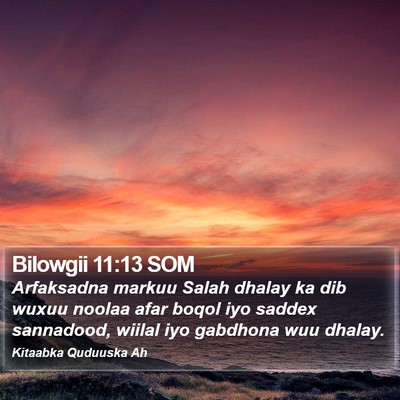 Bilowgii 11:13 SOM Bible Verse Image