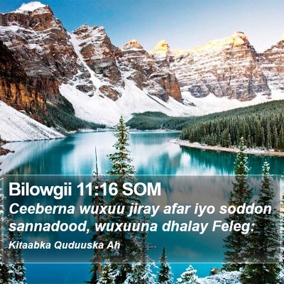 Bilowgii 11:16 SOM Bible Verse Image