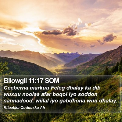 Bilowgii 11:17 SOM Bible Verse Image