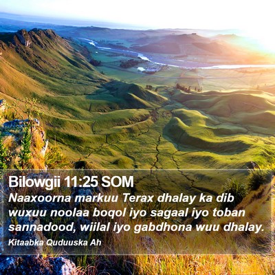 Bilowgii 11:25 SOM Bible Verse Image