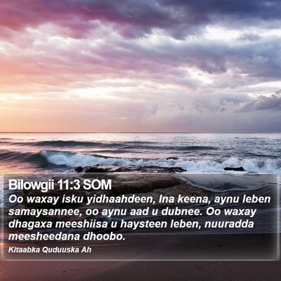 Bilowgii 11:3 SOM Bible Verse Image