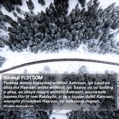 Bilowgii 11:31 SOM Bible Verse Image