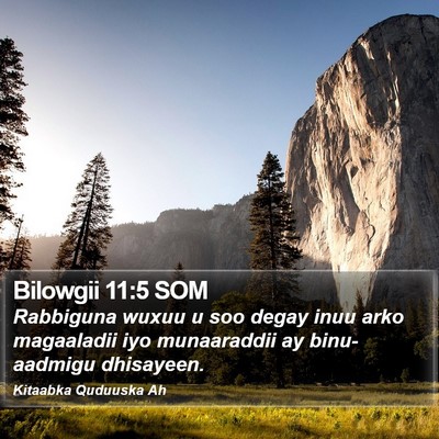 Bilowgii 11:5 SOM Bible Verse Image