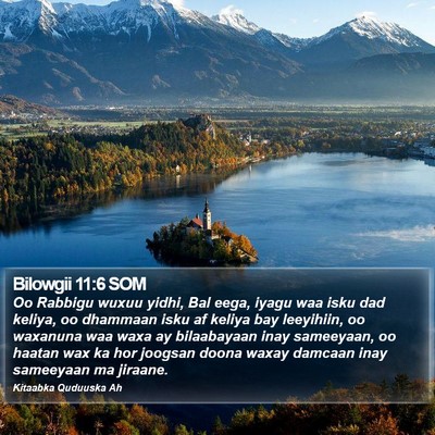 Bilowgii 11:6 SOM Bible Verse Image