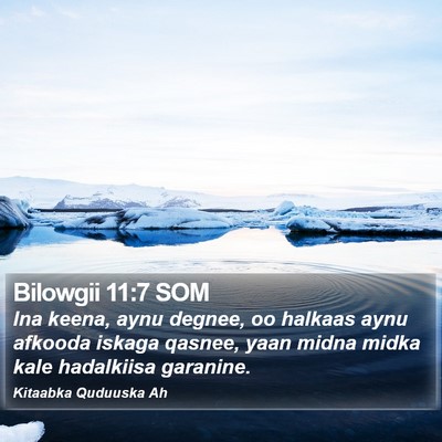 Bilowgii 11:7 SOM Bible Verse Image
