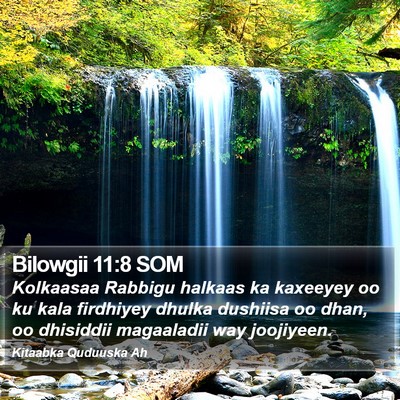 Bilowgii 11:8 SOM Bible Verse Image