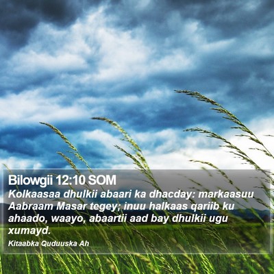 Bilowgii 12:10 SOM Bible Verse Image